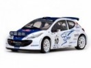 Peugeot 207 S2000 - 10 L.Rossetti M.Chiarcossi Winner Rallye Sanremo 2007
